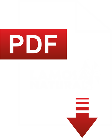 Icon pdf